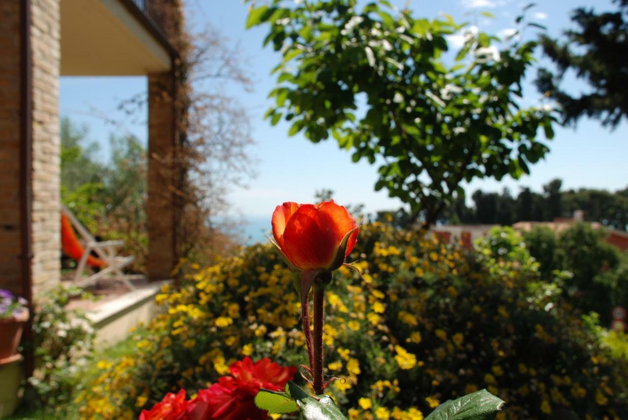 Bed & Breakfast Latteletto Tortoreto المظهر الخارجي الصورة
